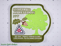 2017 Scoutrees